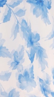 Odilie One Shoulder Maxi Dress - White/Blue Floral